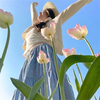 花月佳期粤语